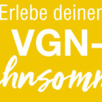 VGN-Bahnsommer 2019